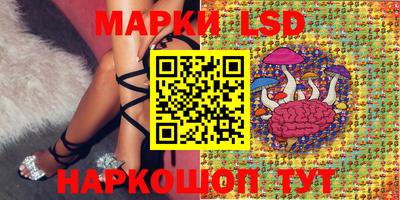 шишки Отрадное