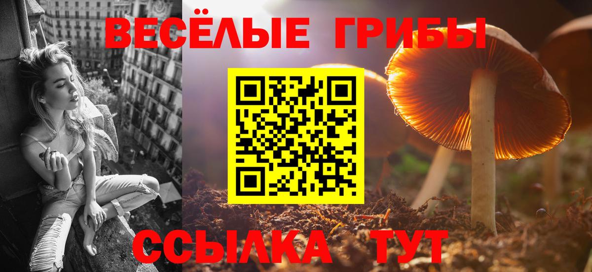 Ноябрьск  Галлюциногенные грибы Magic Shrooms  как найти   Вход с VPN 