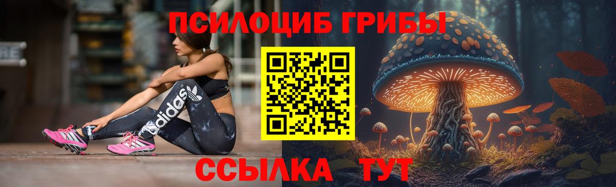 Галлюциногенные грибы MAGIC MUSHROOMS Ноябрьск